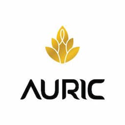 https://reloy-internal.s3.ap-south-1.amazonaws.com/ReloyAssets/Images/JPG-Png/All_Brand_Logos/Auric.jpg