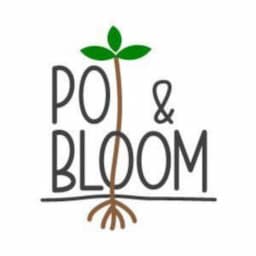 https://reloy-internal.s3.ap-south-1.amazonaws.com/ReloyAssets/Images/JPG-Png/All_Brand_Logos/Pot-&-Bloom.jpeg